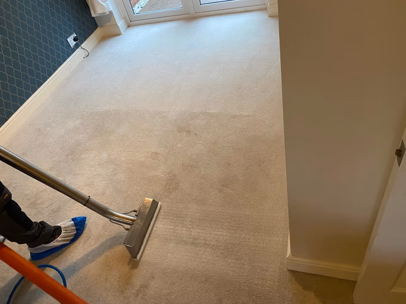 Freshly cleaned office carpet