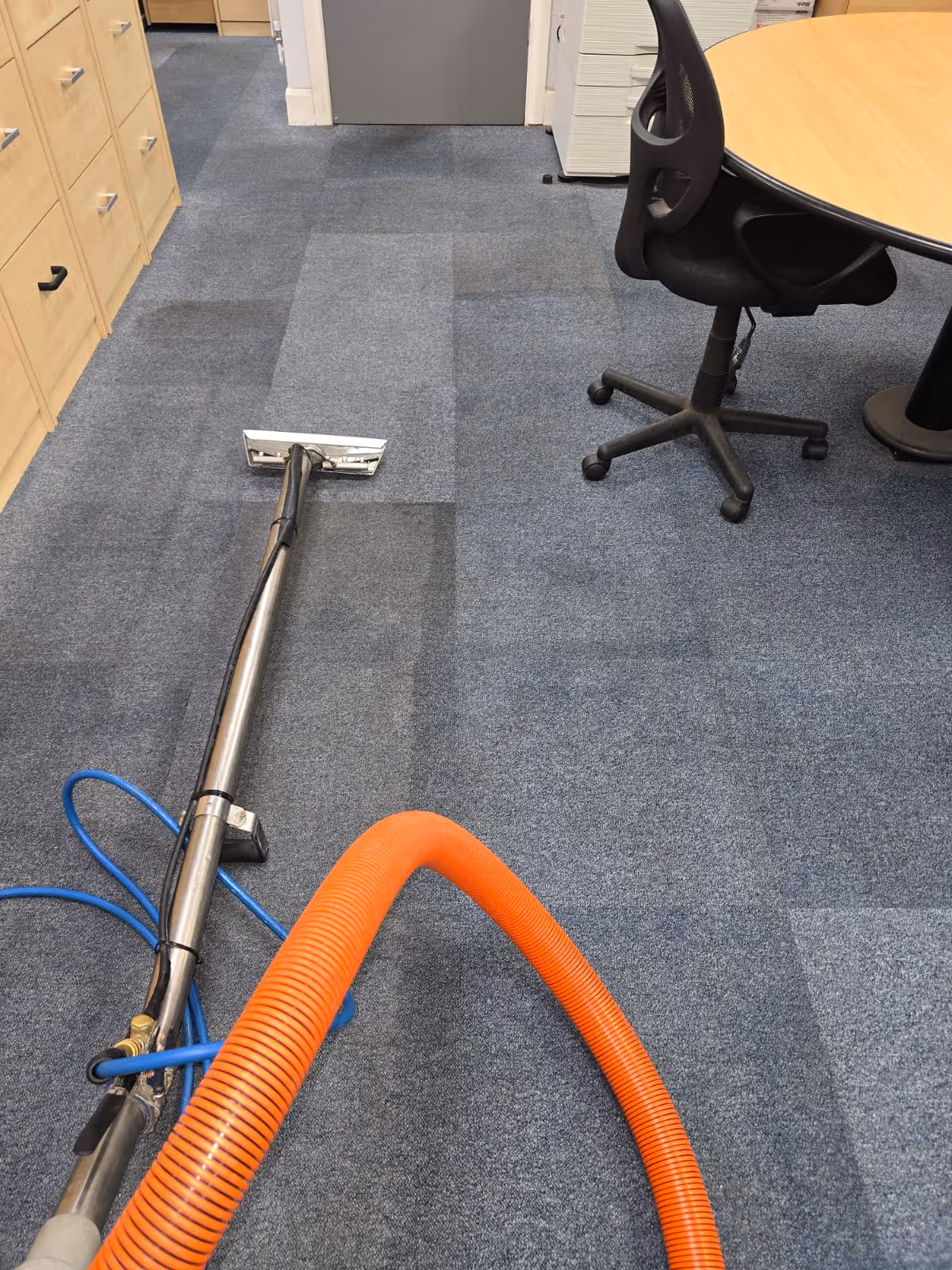Professional carpet stain removal